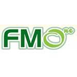 FMO One